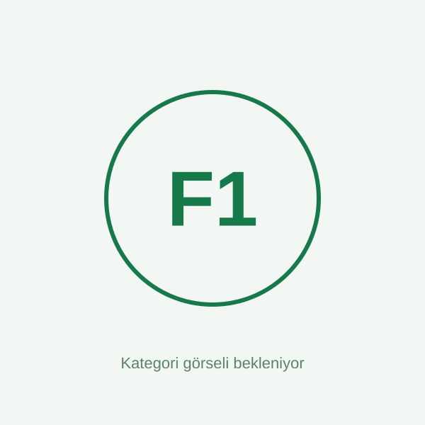 Formül 1 Shake